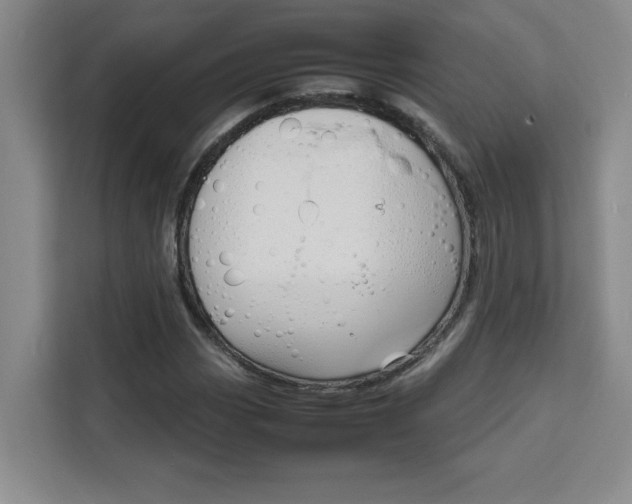 X0000111471113200907131232