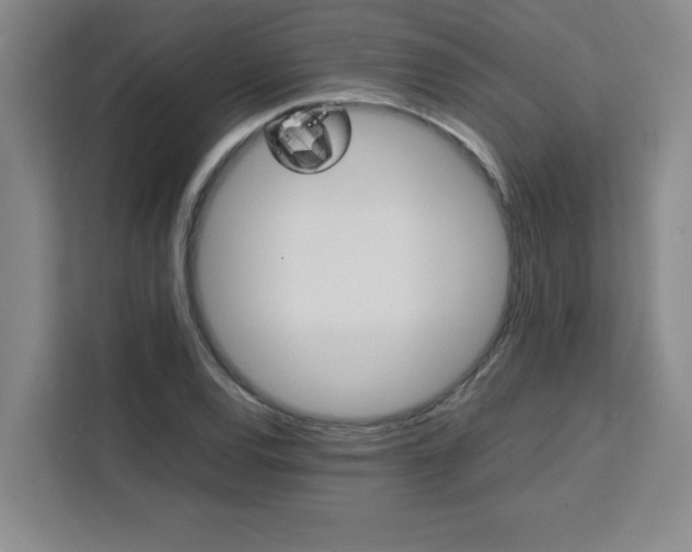 X0000111471120200907131232