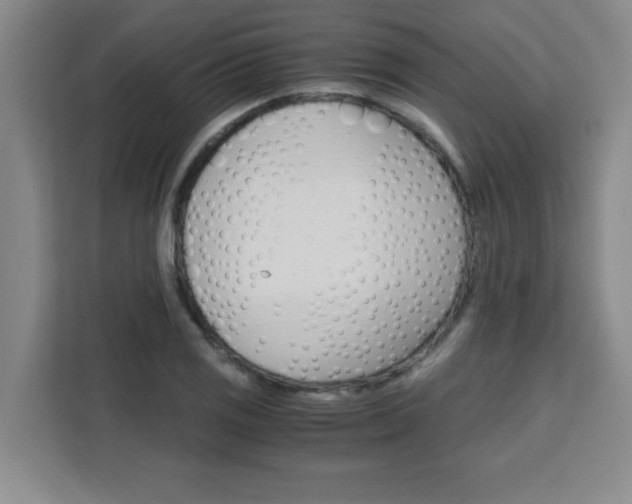 X0000111471125200907131233
