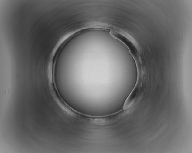 X0000111471128200907131233