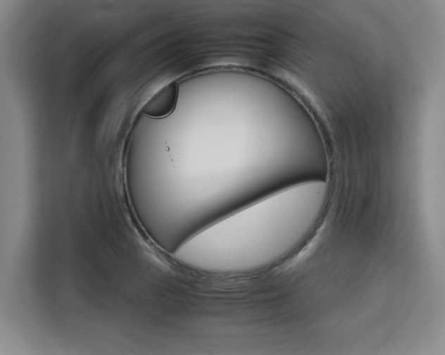 X0000111471129200907131233