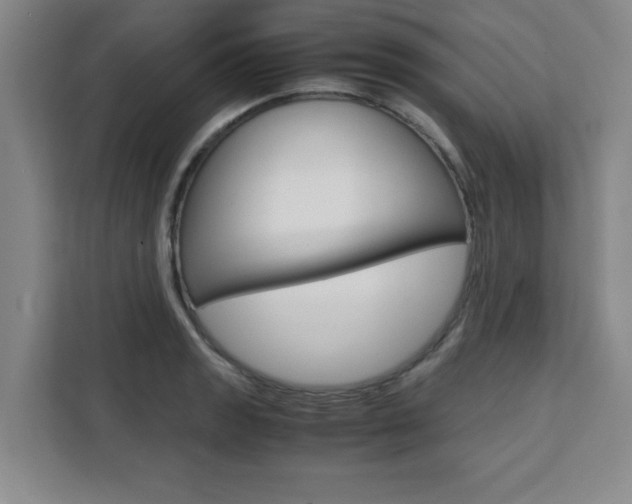 X0000111471133200907131233
