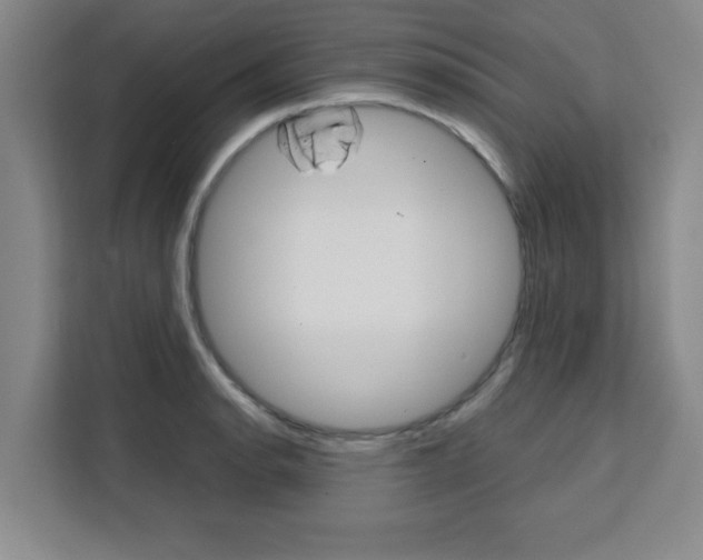X0000111471134200907131233