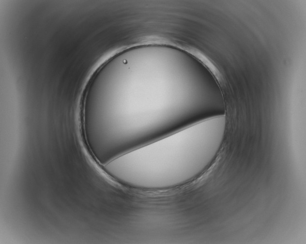X0000111471142200907131233