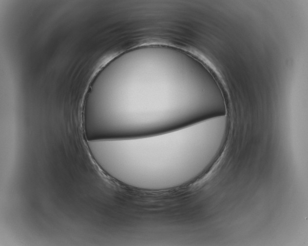 X0000111471145200907131233