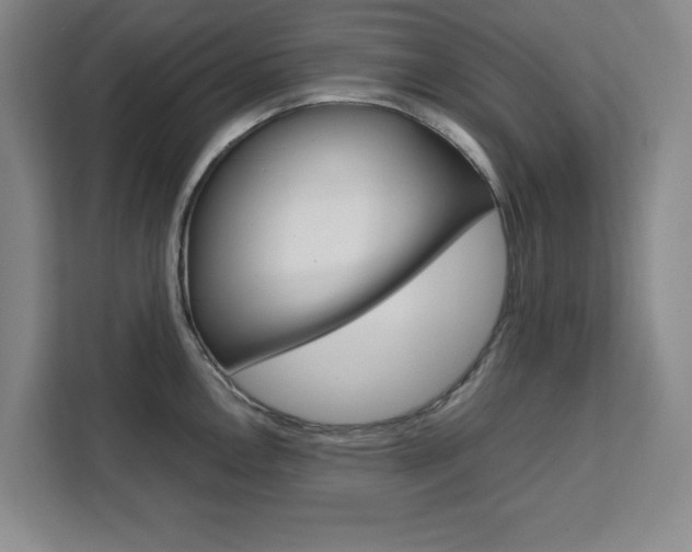 X0000111471146200907131233