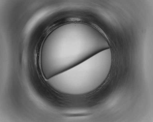 X0000111471151200907131233