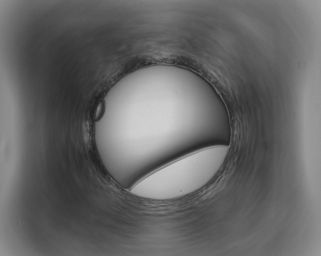 X0000111471156200907131232