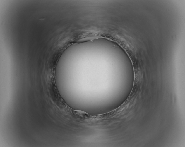 X0000111471157200907131232