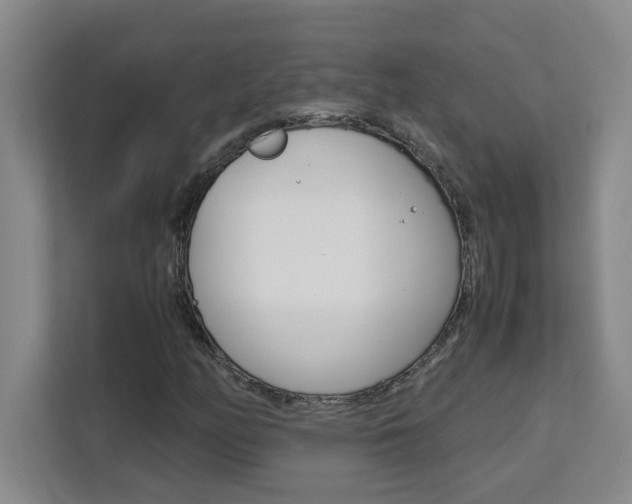 X0000111471158200907131232