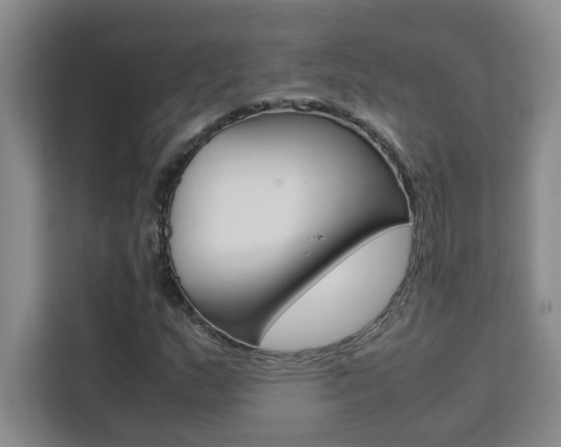 X0000111471159200907131232