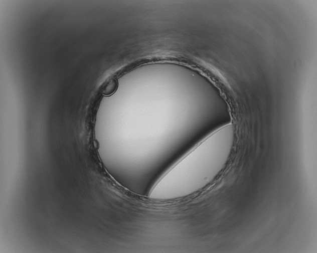 X0000111471160200907131232
