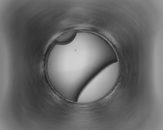 X0000111471164200907131232