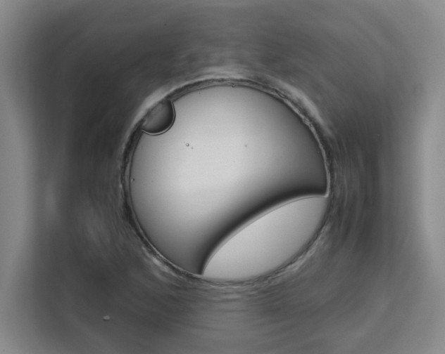 X0000111471168200907131232