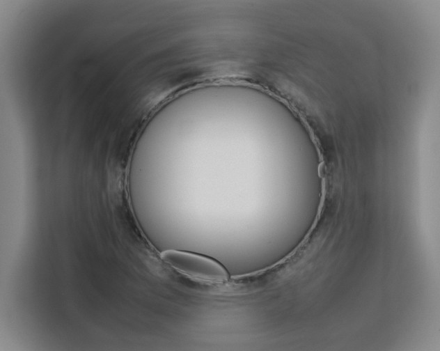 X0000111471169200907131232