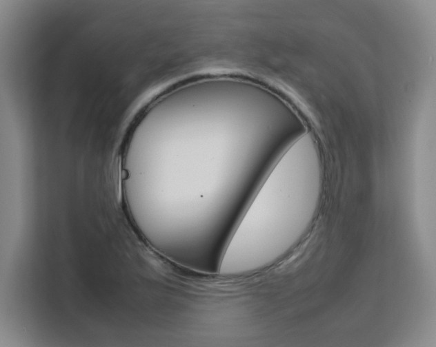 X0000111471175200907131232