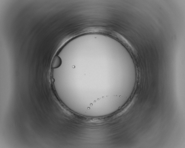 X0000111471178200907131232
