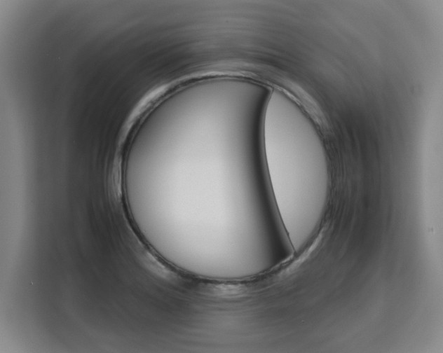 X0000111471180200907131232