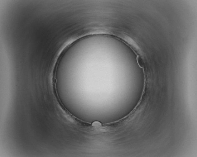 X0000111471181200907131232