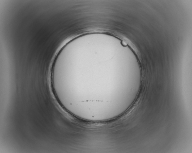 X0000111471187200907131232