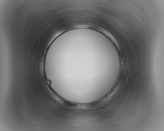 X0000111471194200907131232