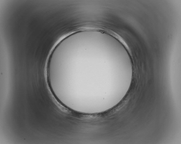 X0000111471195200907131232