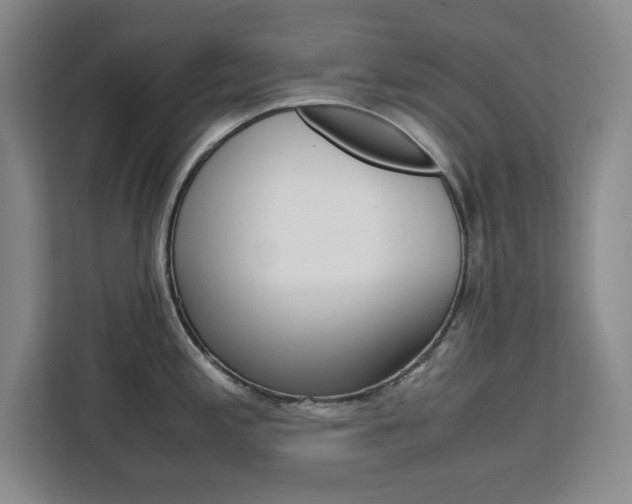 X0000111471197200907131232