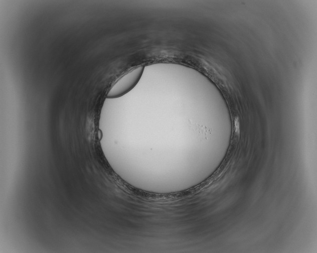X0000111471203200907131231