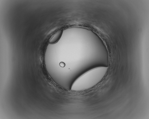 X0000111471206200907131231