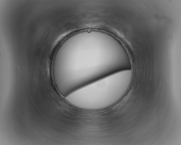 X0000111471214200907131231