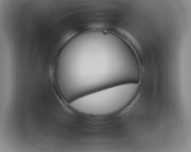 X0000111471225200907131231