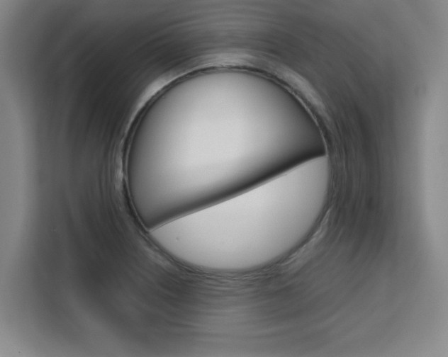 X0000111471226200907131231