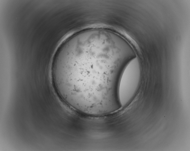 X0000111471229200907131231