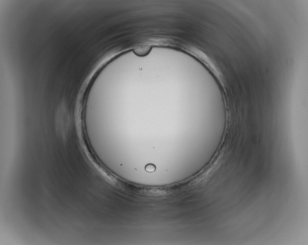 X0000111471235200907131231