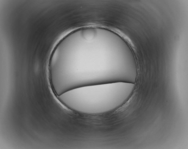 X0000111471239200907131232