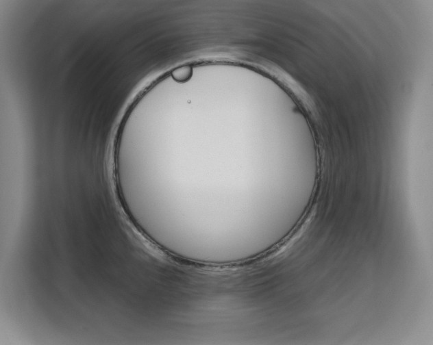 X0000111471240200907131232