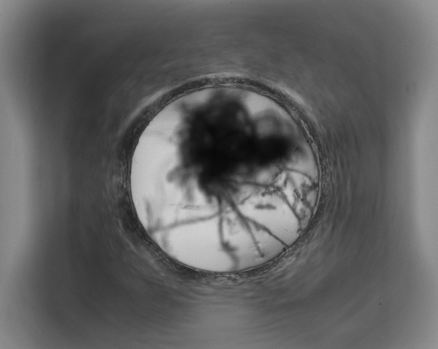 X0000111471255200907131231