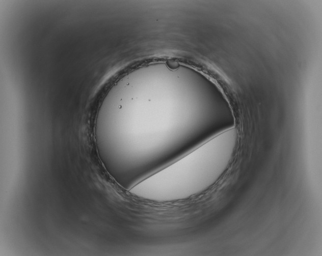 X0000111471256200907131231