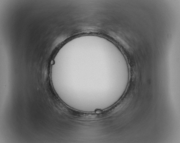 X0000111471261200907131231