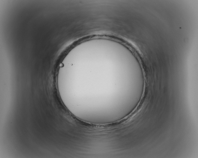 X0000111471263200907131231