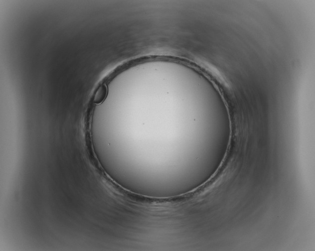 X0000111471264200907131231