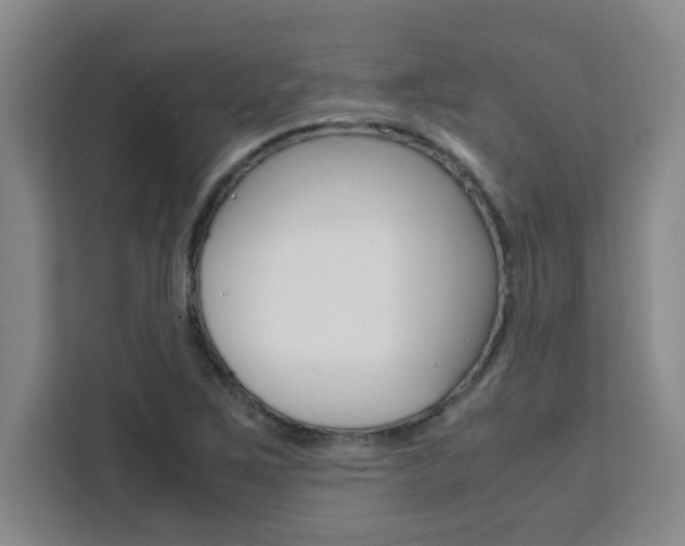 X0000111471267200907131231