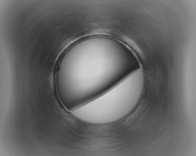 X0000111471268200907131231