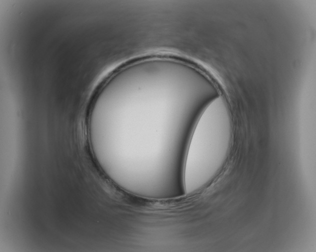 X0000111471271200907131231
