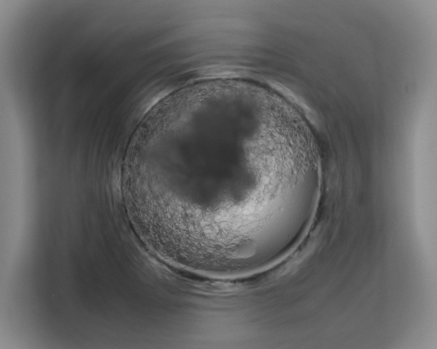 X0000111471273200907131231