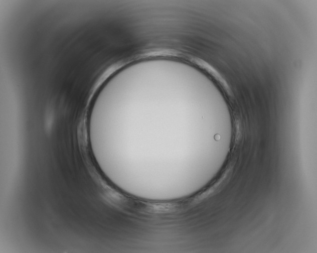 X0000111471274200907131231