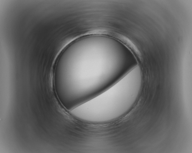 X0000111471276200907131231