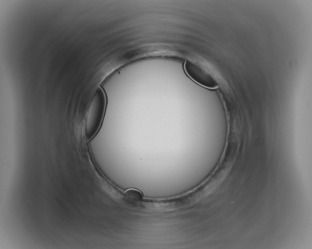 X0000111471281200907131231