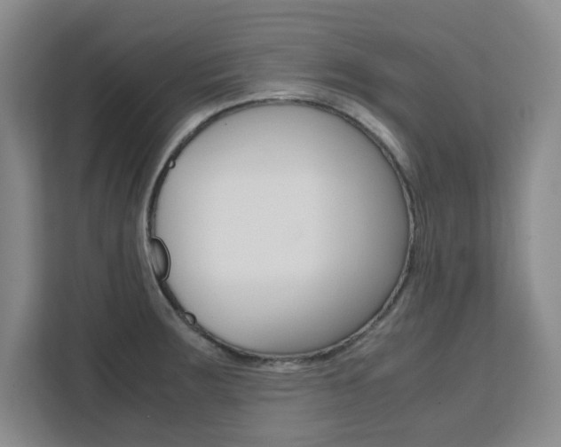 X0000111471283200907131231