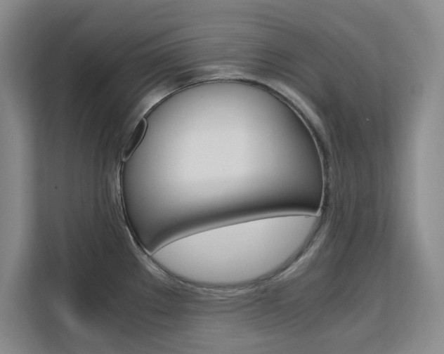 X0000111471289200907131231